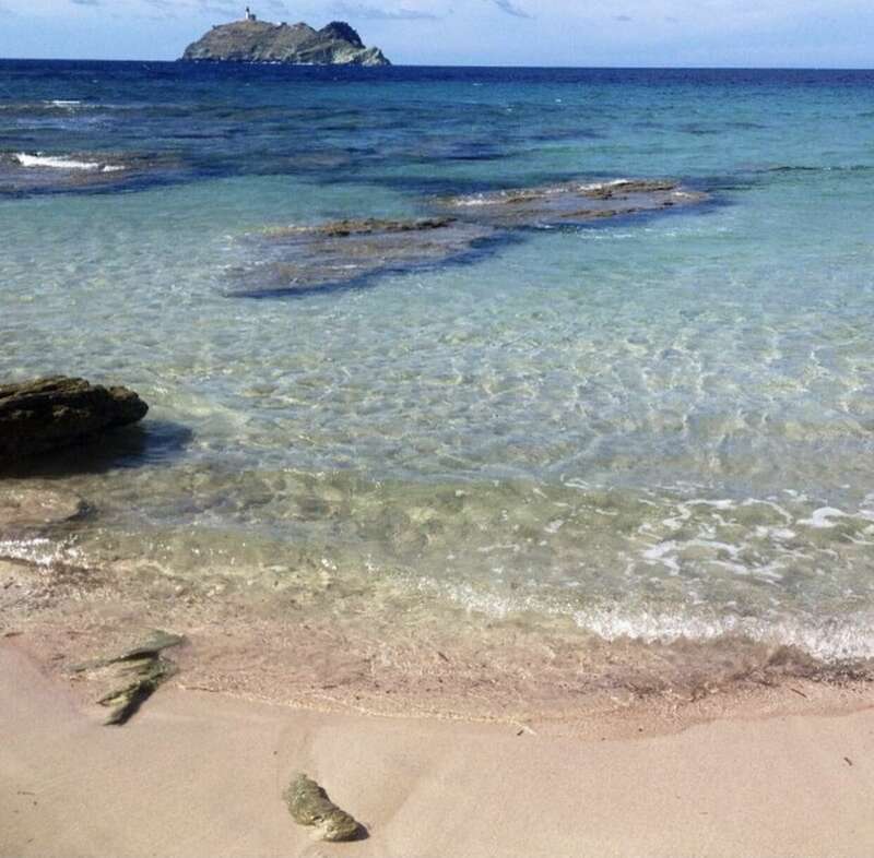 c1f23b91-dee4-45de-9f67-1a6503fa08e0