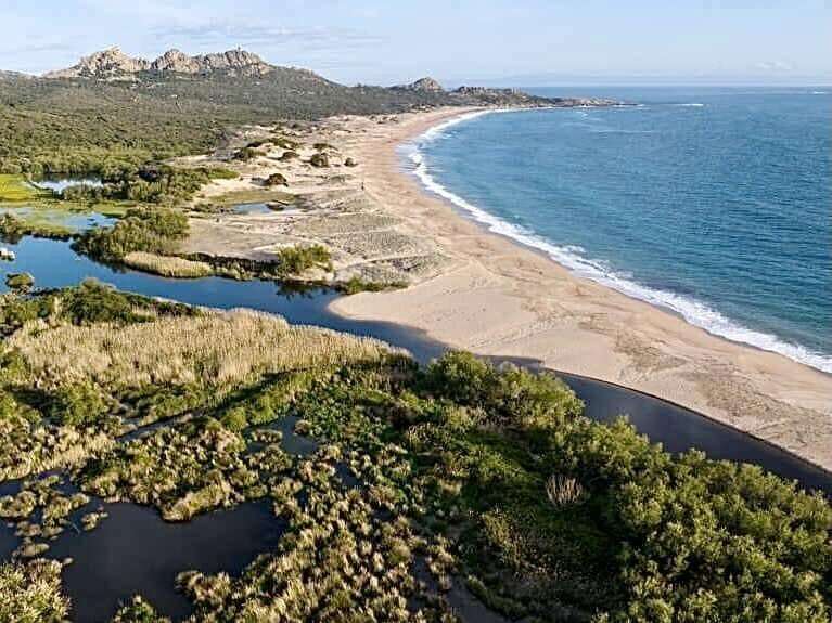 448323502_1457196874905781_4651990379055885965_n