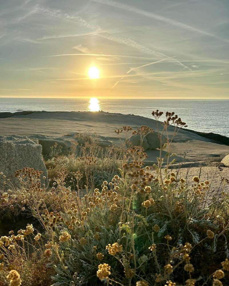 838c8b83-a2c6-4411-9d43-80e10c61515e