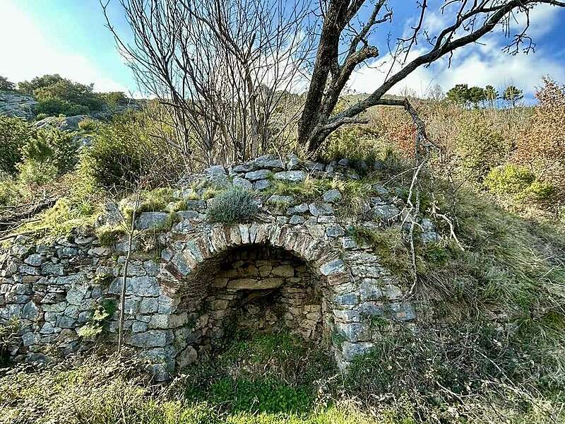 484324355_9826802220697984_5554888187971560027_n