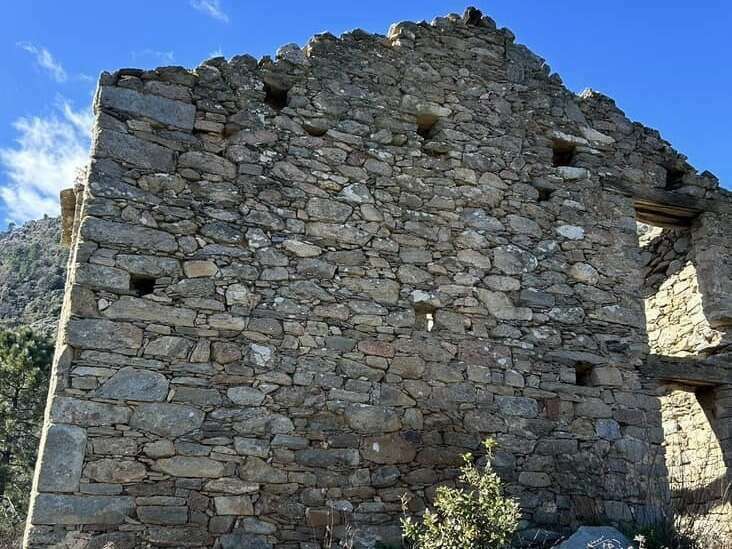 481233774_9826788057366067_1169238619967801456_n