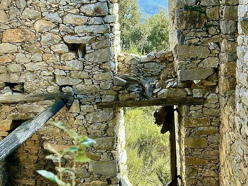 483106929_9826797374031802_6913846490231057346_n