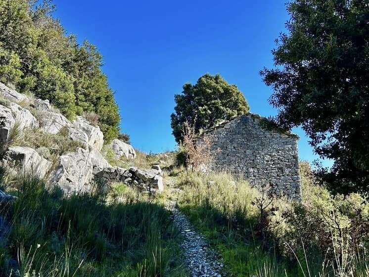 484087041_9826789190699287_6712541477465681072_n