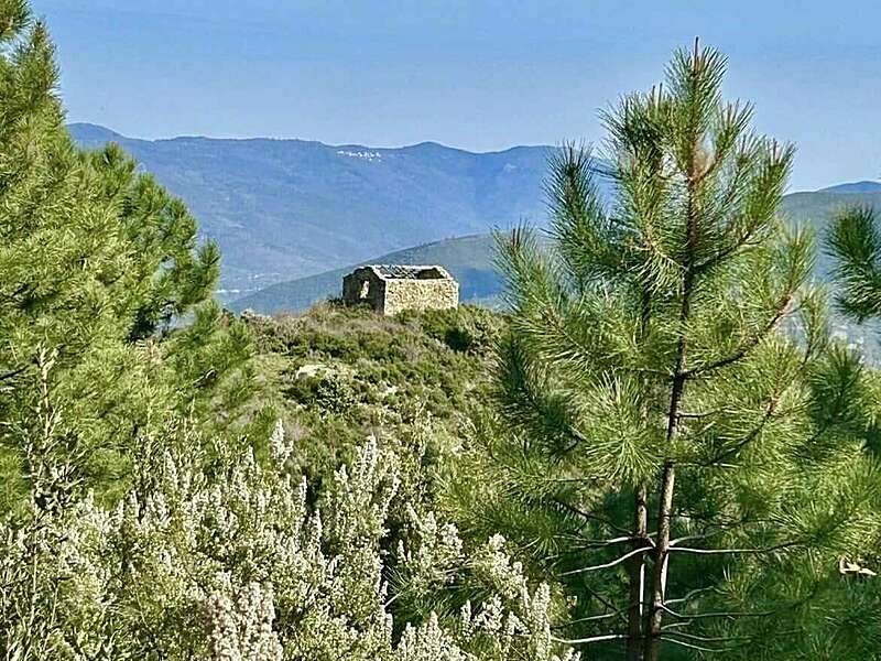 483099681_1431131468229342_1313555840133618604_n