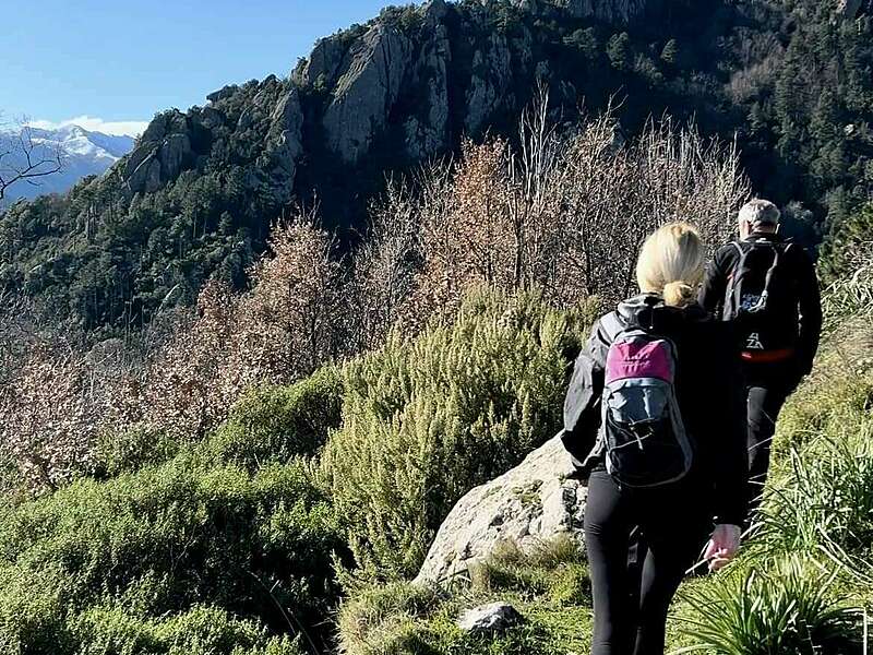 484373794_9826800947364778_1327115184851379690_n