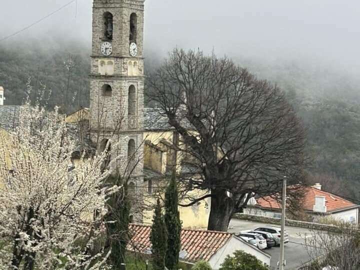 484096479_9826787157366157_2130594830581392293_n