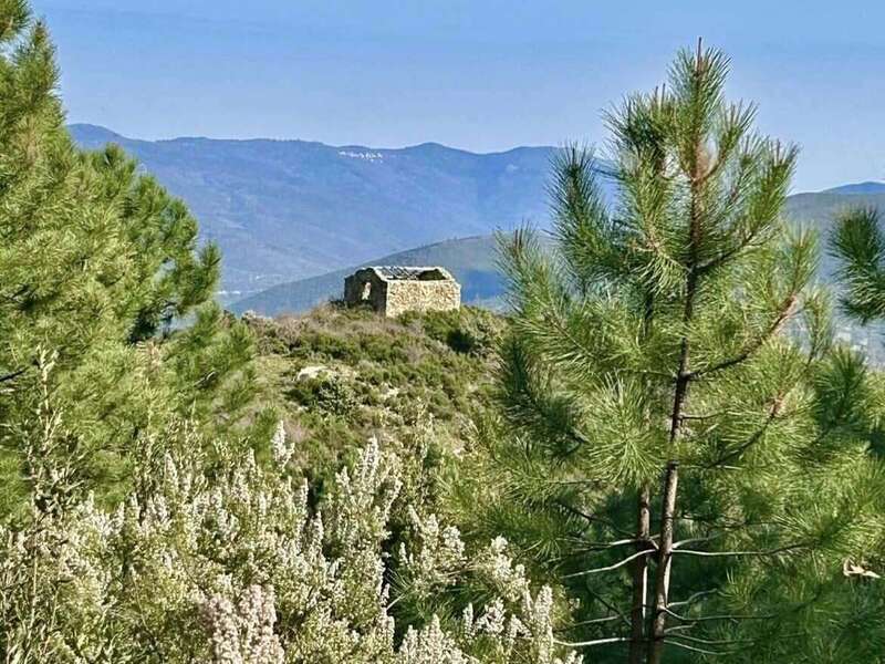 483099681_1431131468229342_1313555840133618604_n