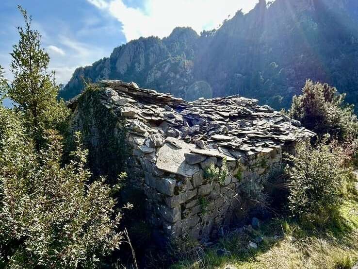 485343583_9826787864032753_9184368989098800672_n