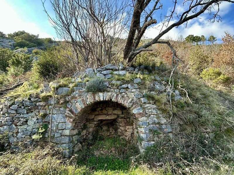 484324355_9826802220697984_5554888187971560027_n