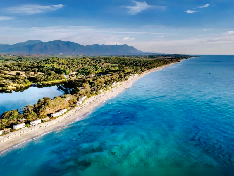 img_877820260116-4055143-qggf2k