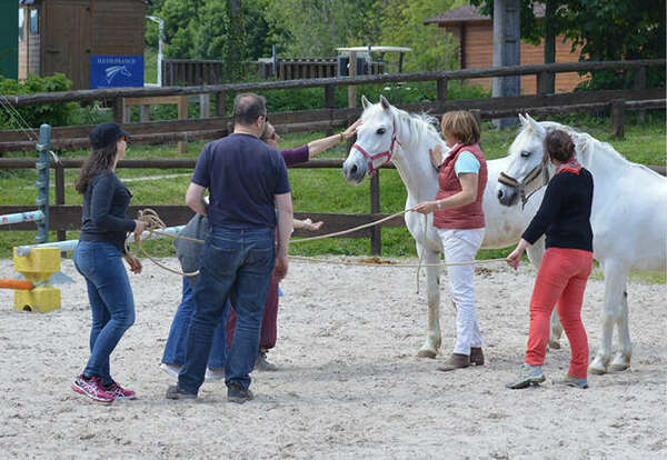 Le manager qui murmurait à l'oreille des chevaux