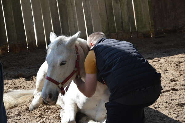  « Accroître sa capacité à créer une relation client de qualité » 