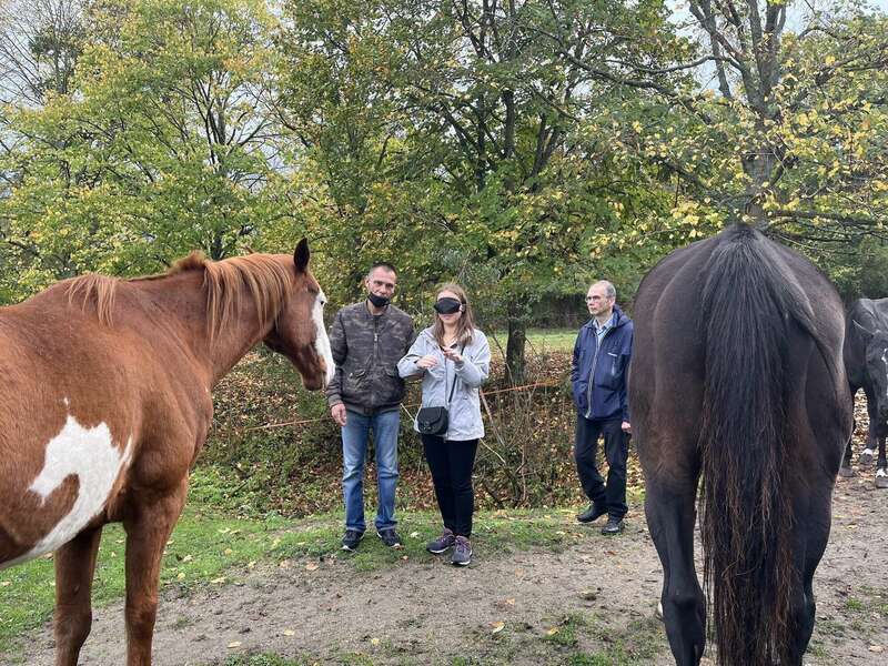 18e44ed8-1f63-4568-ad16-8d0d7191848f