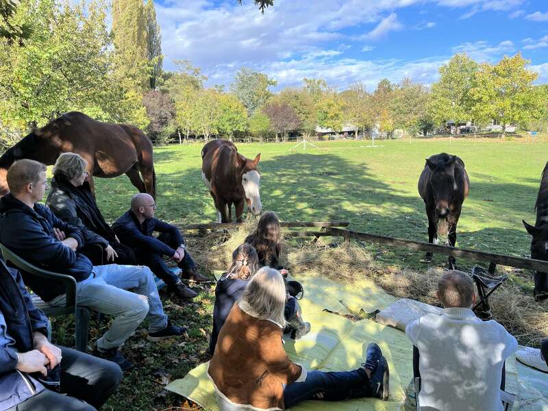 fa3df5c0-207d-48e5-a0dd-1713eab4a3c2