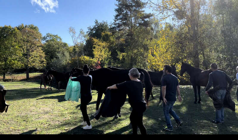 075d86c7-8c05-4b6f-8be0-f4e8f6818dbd_1_201_a