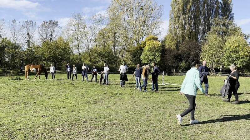 587b4ed3-69dc-4fbf-9208-dd73ba626ac8_1_102_o