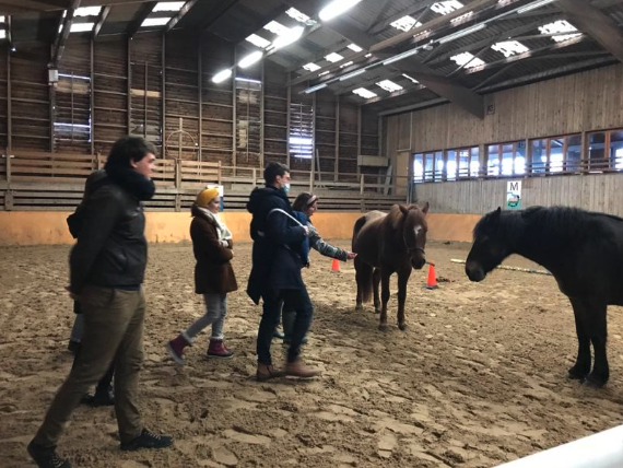 Un atelier equicoaching en famille