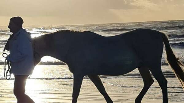 Déconnecter pour reconnecter