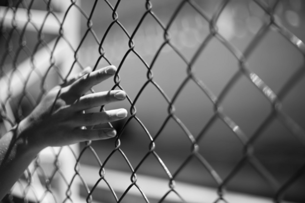 La réinsertion des détenus grâce au cheval