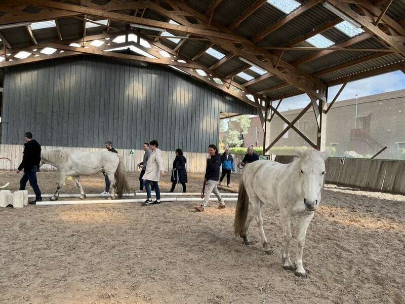 5d03c83c-67fc-4986-a1db-ce9bcd3195e0_1_105_c