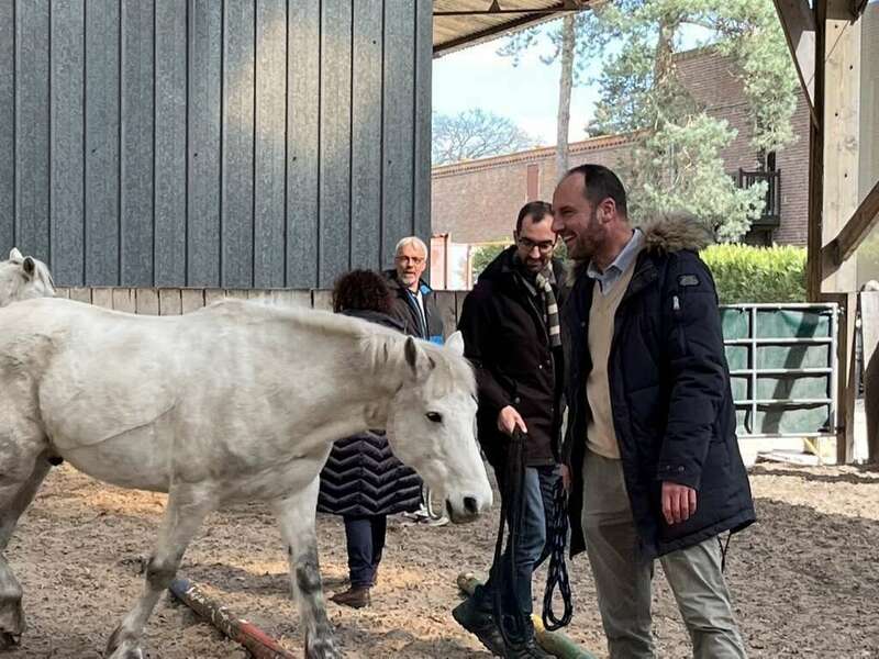 6bd5ea29-f505-4567-85d9-3db231fa6e9d_1_105_c