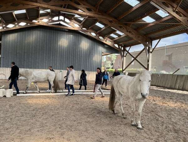 equicoaching-entreprise