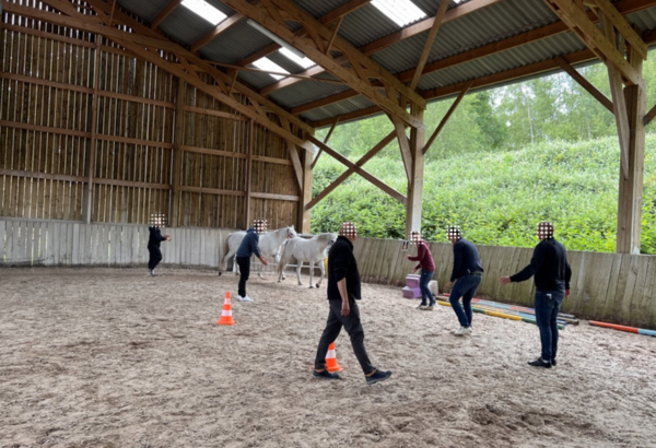 Des chevaux pour restaurer un collectif