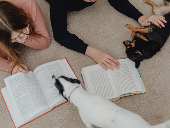 screenshot_2024-03-22_at_5-41-42_pm