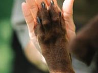 screenshot_2024-03-22_at_5-41-51_pm