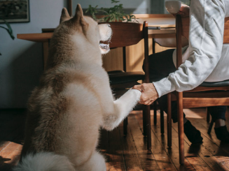 screenshot_2024-03-22_at_5-41-58_pm