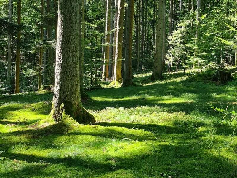 39d849ad-c5c5-41fa-a693-aa19327771c9