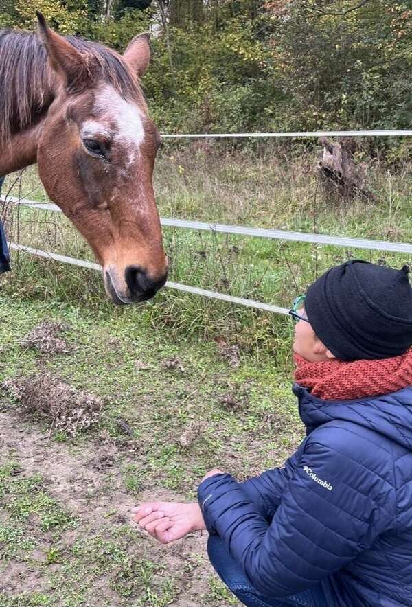 Vivre l’instant présent avec l’équicoaching : témoignages et inspirations