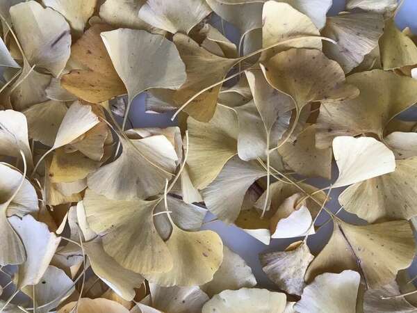 En ce début d'année, c'est important de cultiver l'optimisme !