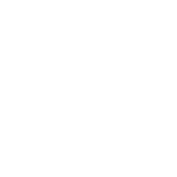 Solidus Invest