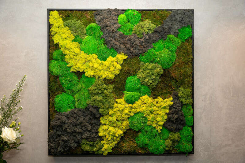 e7774d2f-8976-4052-8600-5e0c35d5f3ff_1_105_c