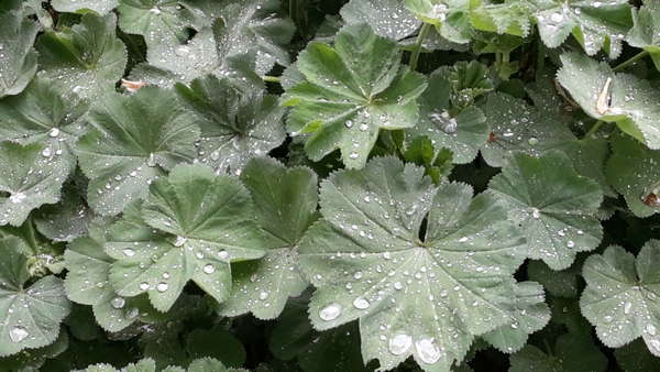 les seniors et la santé