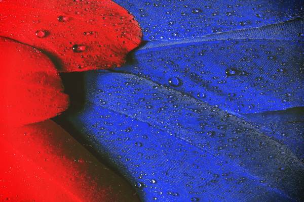 Réussir à lâcher prise