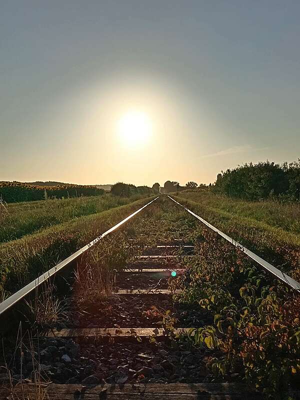 Comment faire la paix avec son passé?