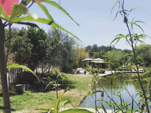 capture_d_ecran_2025-06-17_a_17-06-11