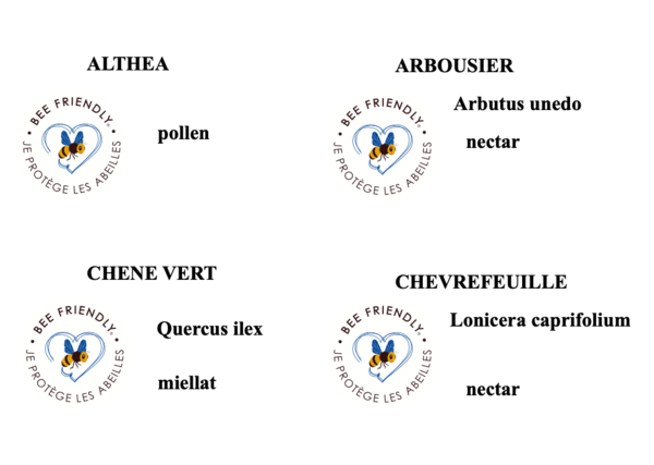 un jardin BEE FRIENDLY
