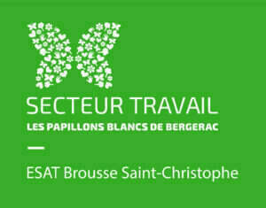 papillons blancs 24