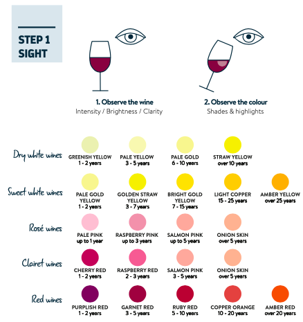 wine_tasting__sight