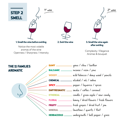 wine_tasting__smell