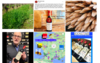 quelques publications instagram