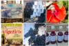 publications instagram Château Gueyrosse
