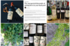 instagram - Château Gueyrosse