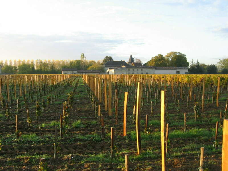 chateau_gueyrosse_vu_des_vignes20220705-3168242-i0zm9b