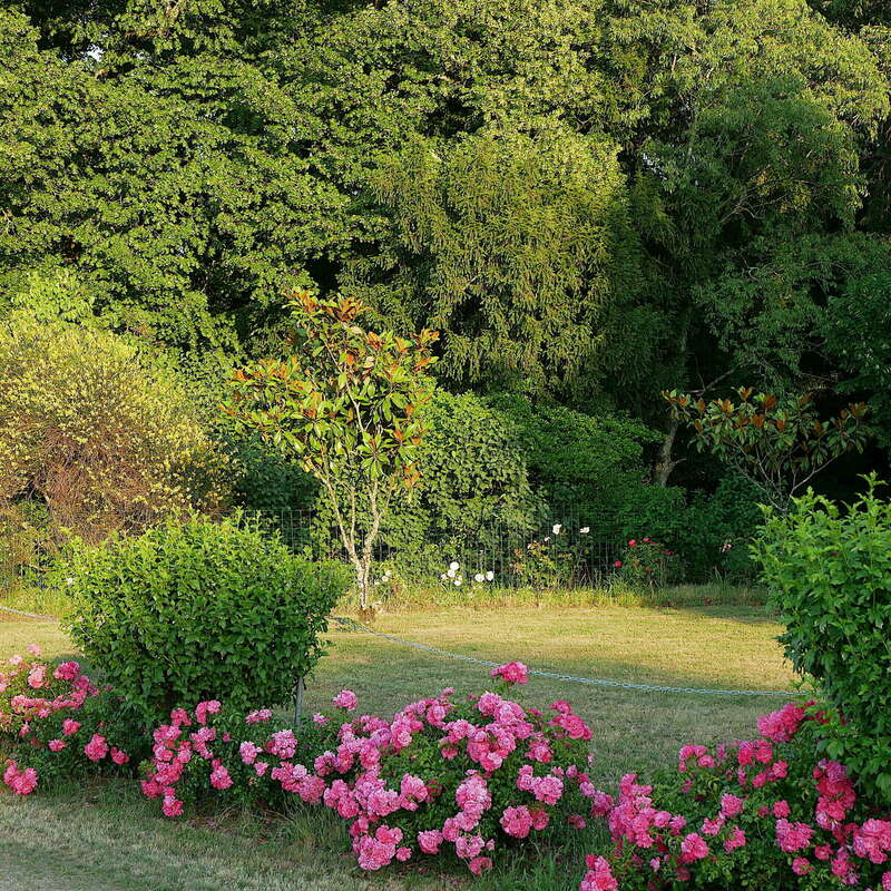 p102060820220705-3168242-19pjshf