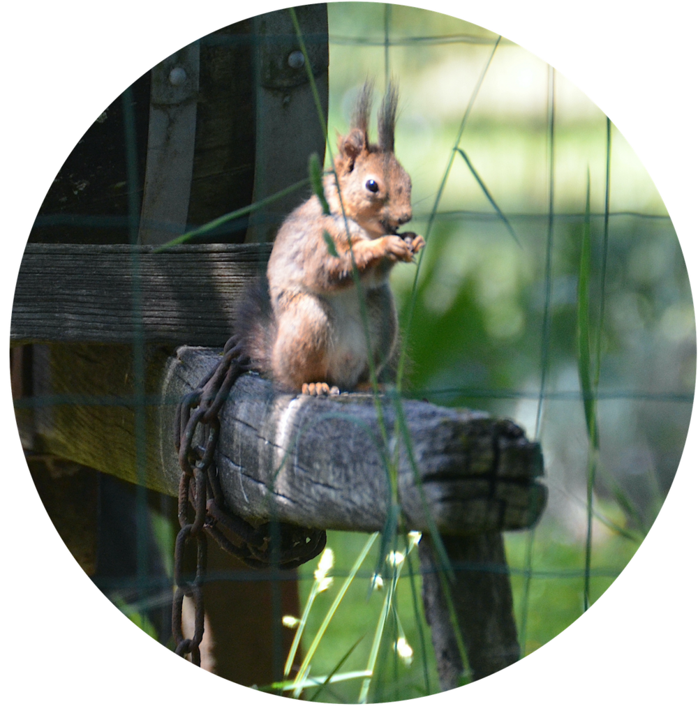 biodiversité et milieu viticole