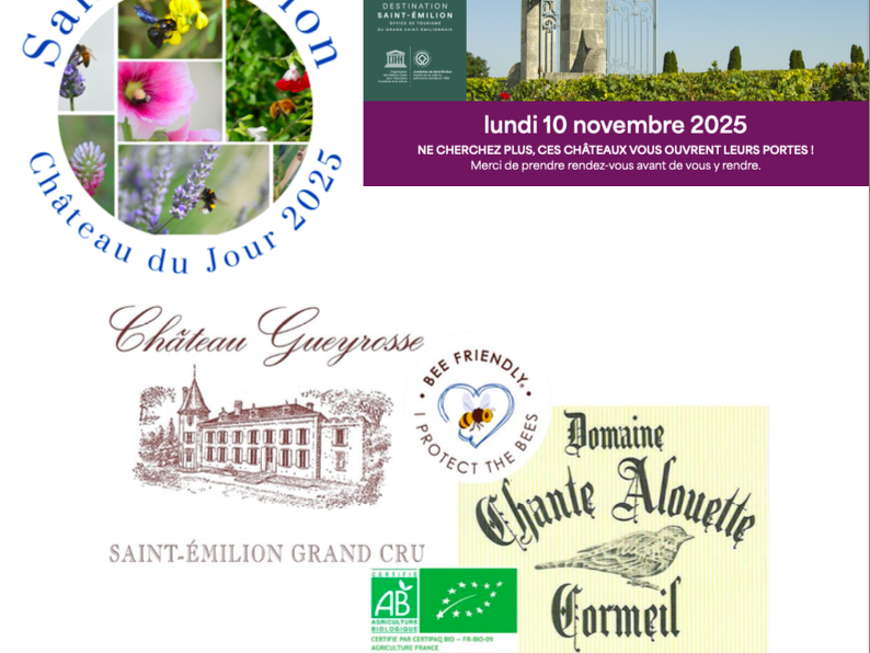 Saint Emilion château du jour 10 novembre